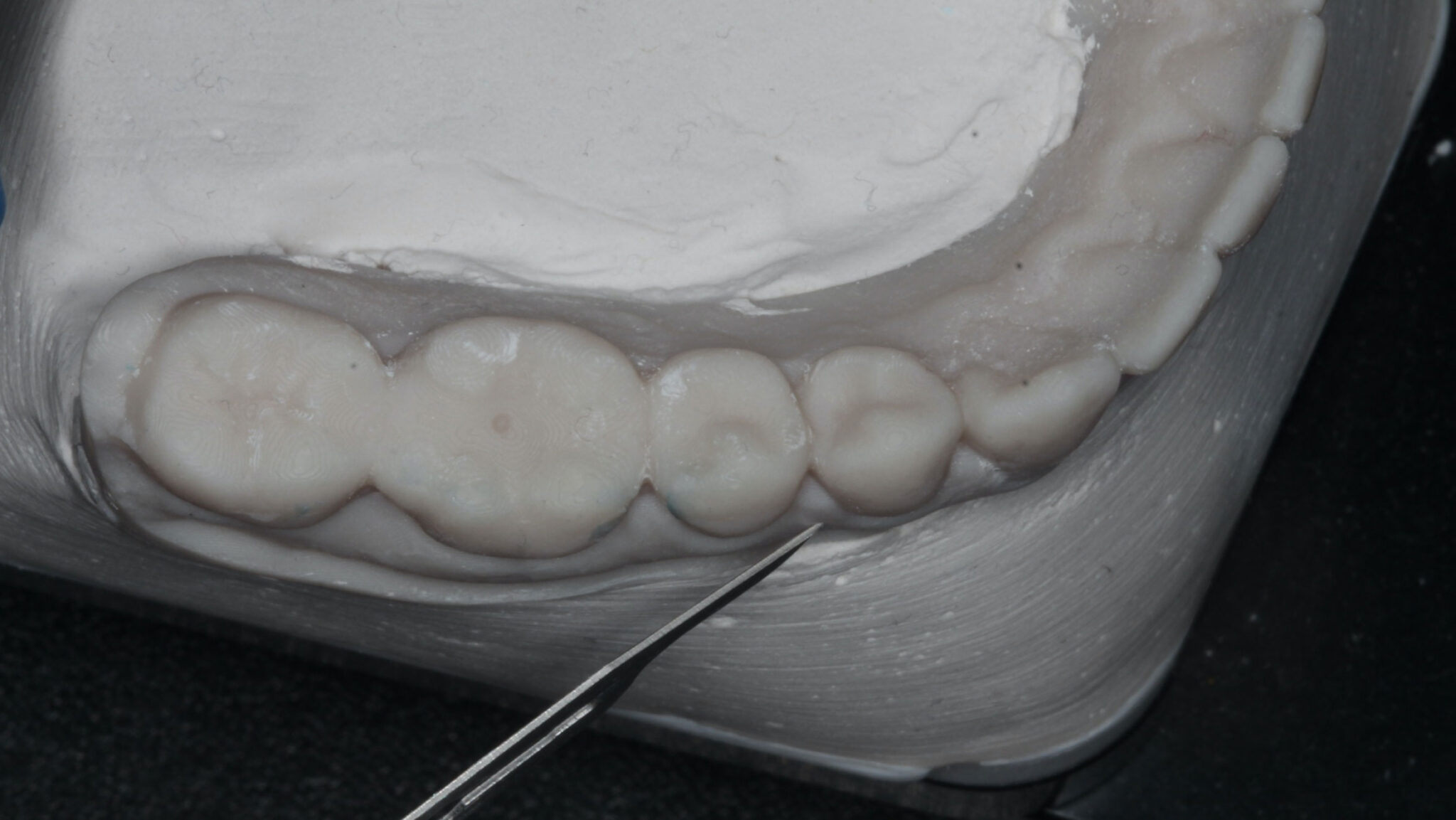 morris_thumbnail alternate text for this image