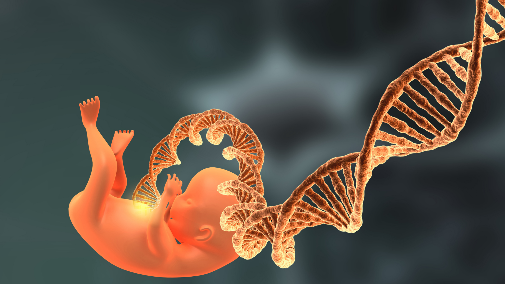 DNA-Cleft palate alternate text for this image