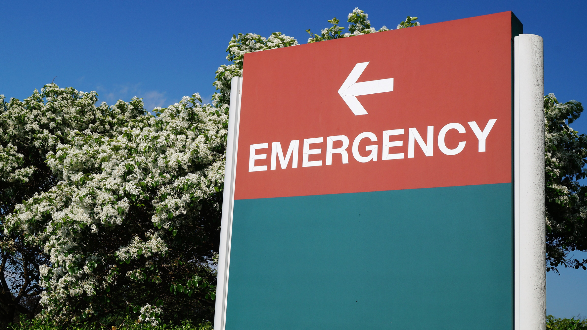 An NYU study shows that during the pandemic, about 62 per cent of children using Medicaid had to visit the ER for dental conditions, a significant increase compared to 3.7 per cent in 2019.