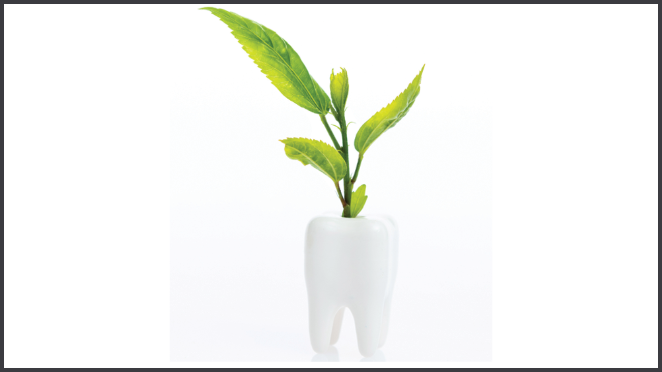 plant-sustainability-hygiene alternate text for this image