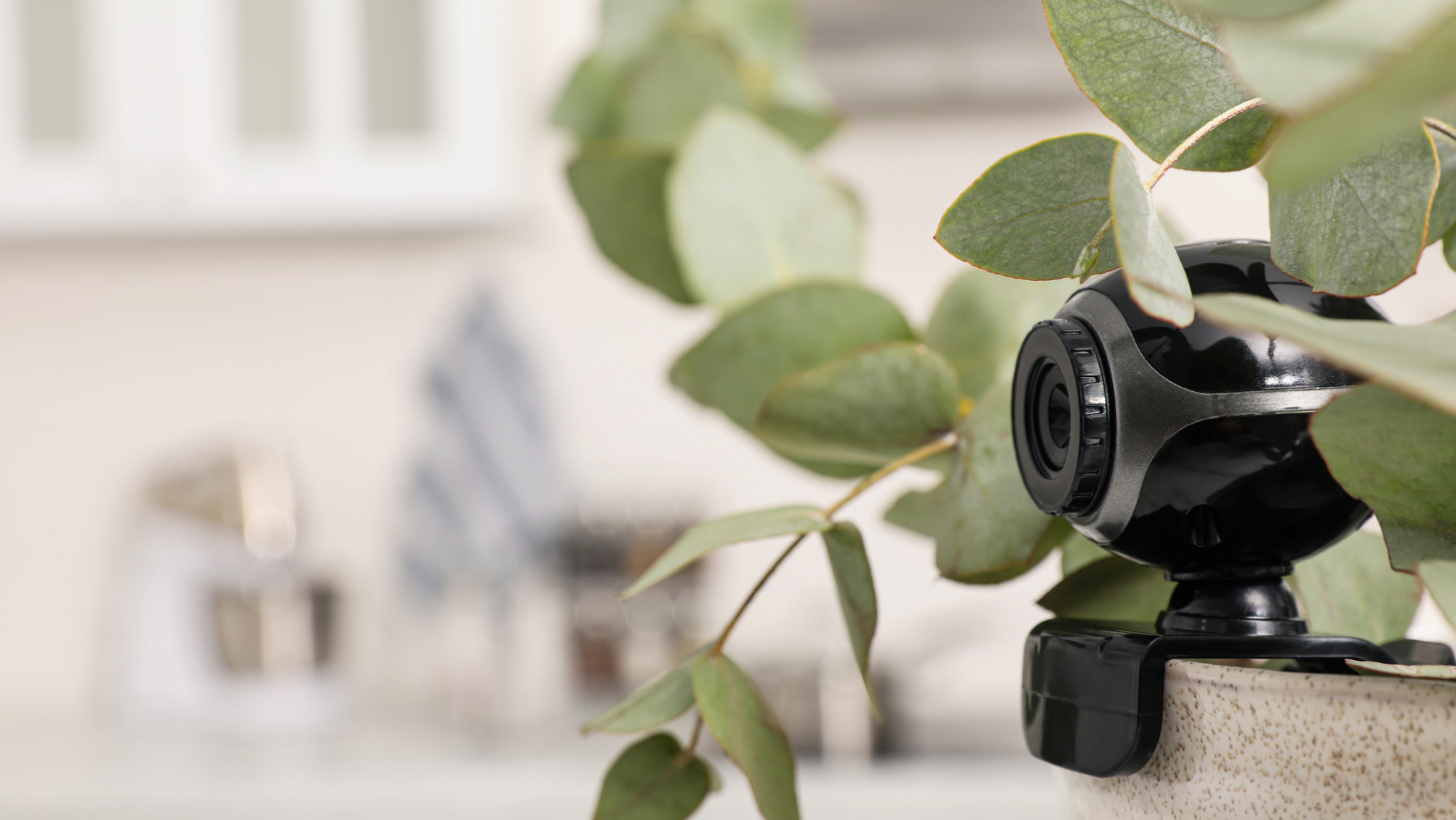 camera-hidden alternate text for this image