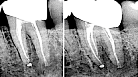 Buch-Fig 8bc alternate text for this image