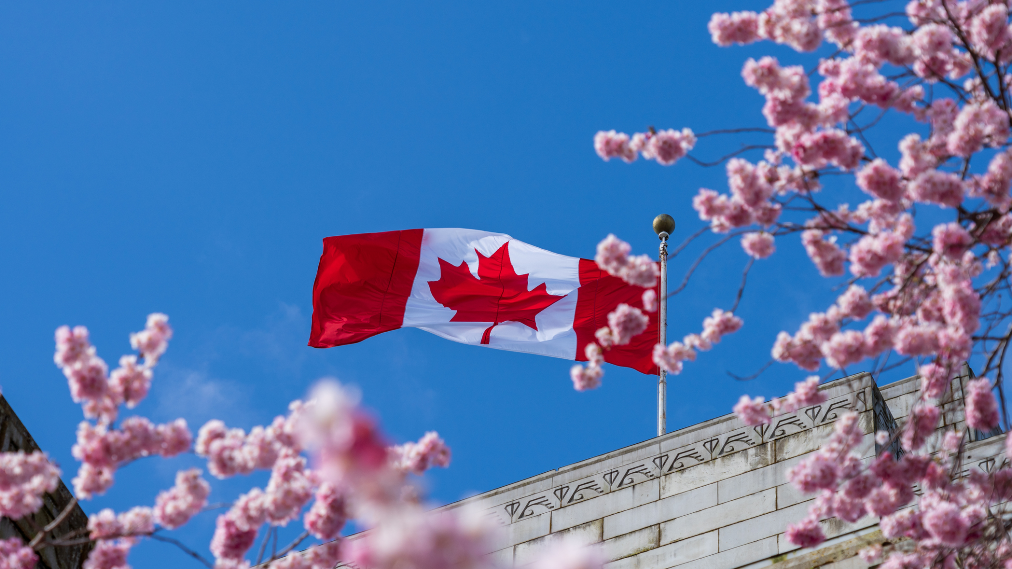 Preventing tooth decay through basic care could reduce decay by 30% and save $4.41 billion in Canada.