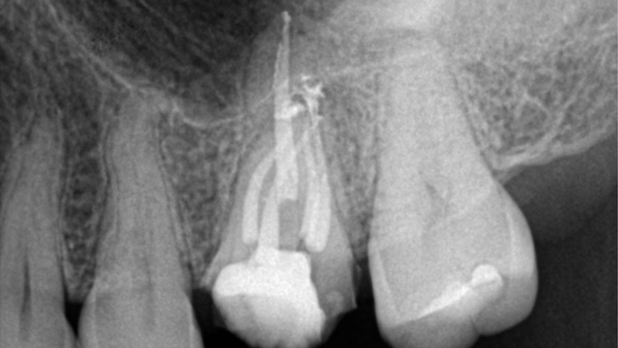 dagher-thumbnail alternate text for this image