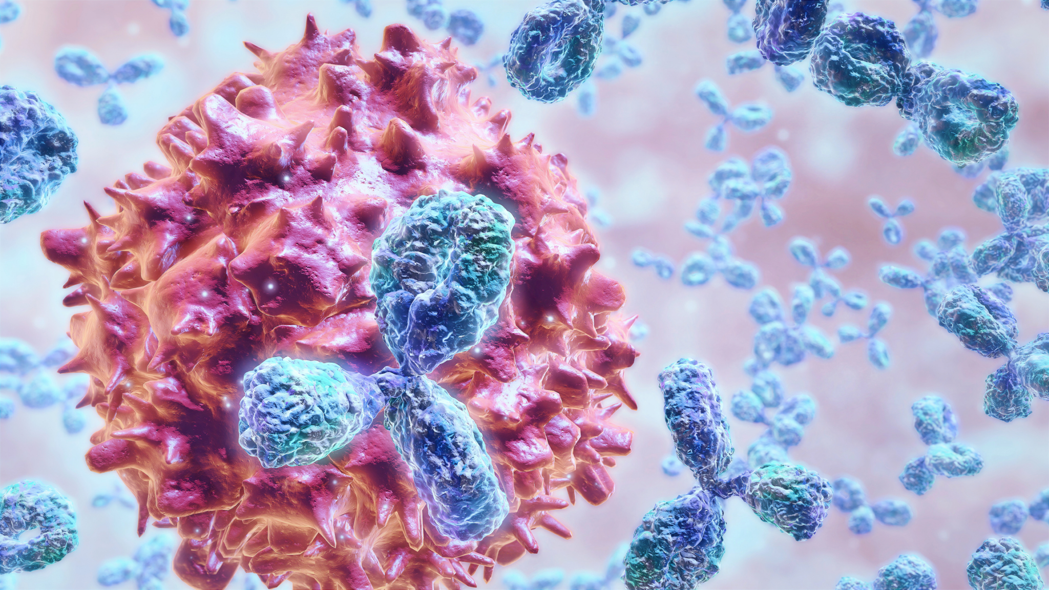 Antibodies block a virus from entering a body cell