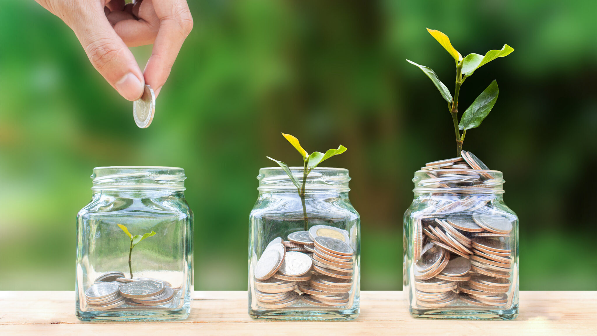 Money savings, investment, making money for future, financial wealth management concept. A man hand holding coin over stacked coins in glass jar and growing tree plant depicts Fund growth and wealth.