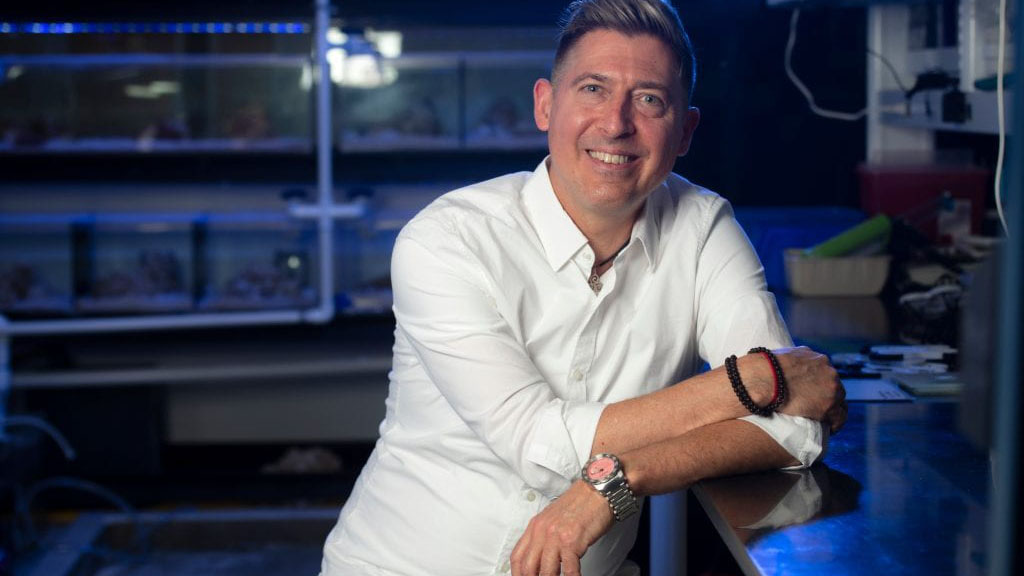 “This process to yield hydroxyapatite, or bone mineral, takes less than one day,” says David Kisailus, UC Irvine professor of materials science and engineering. (Photo courtesy: Steve Zylius / UC Irvine)