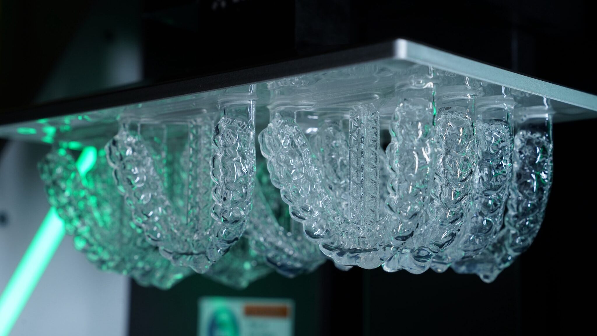 Fig 5 alternate text for this image