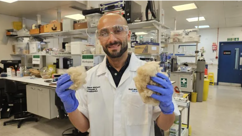Keratin from wool is being developed for use in sustainable toothpaste. (Photo courtesy of King’s College London)