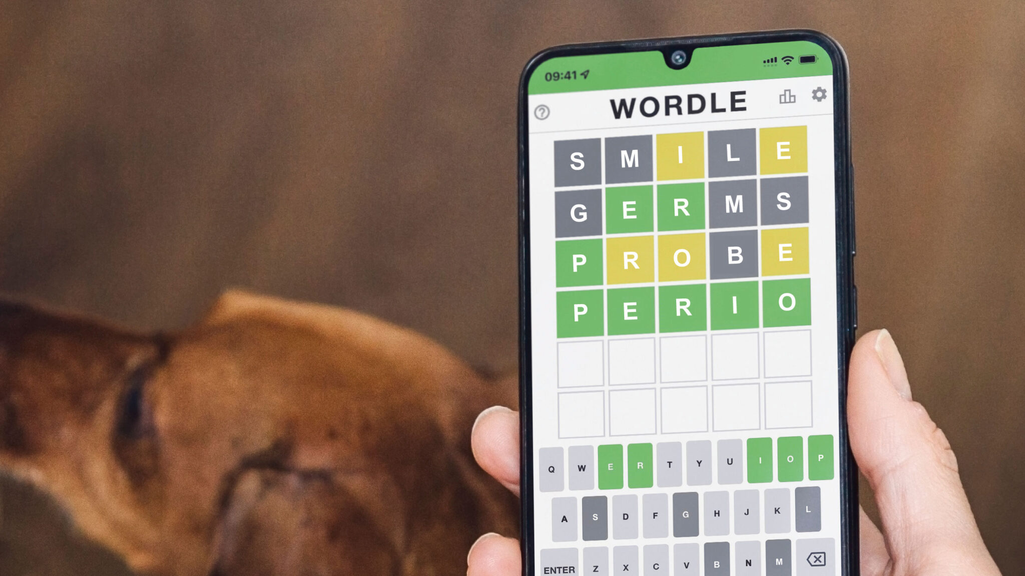 periodontics-october-2025 alternate text for this image