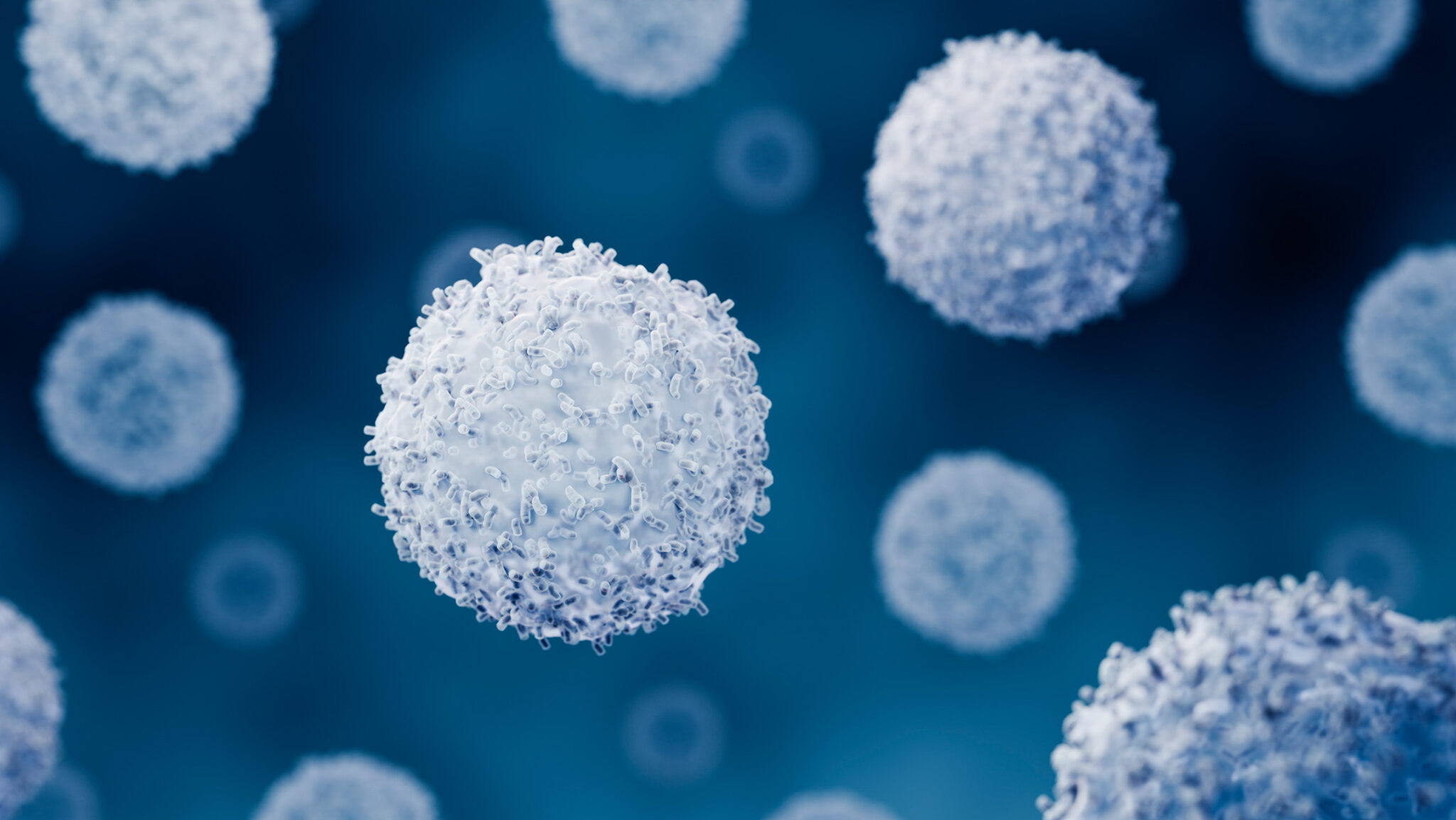 T cells protect the body from infection, while the thymus eliminates those that mistakenly attack healthy tissue. (iStock)